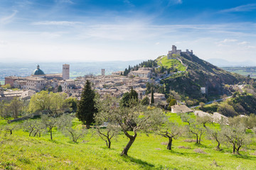 Assisi Panorama - obrazy, fototapety, plakaty
