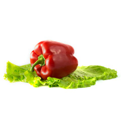 Sweet red bell pepper set in four different foreshortenings isolated over a white background