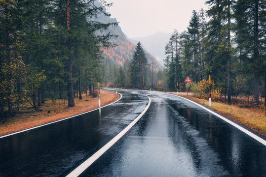 Road in the autumn forest in rain. Perfect asphalt mountain road in overcast rainy day. Roadway with reflection and pine trees in italian alps. Transportation. Empty highway in foggy woodland. Trip - Powered by Adobe
