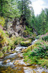 Fototapeta na wymiar mountain river in the forest in summer