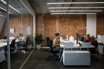 Group of young businesspeople working at open space office.