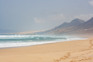 Spuren im Wüstensand am Meer
