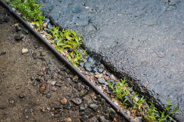 Rain