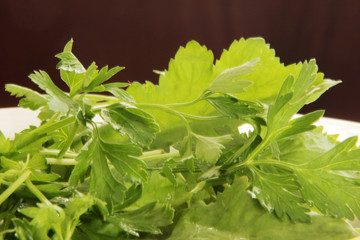 Bunch of ripe parsley