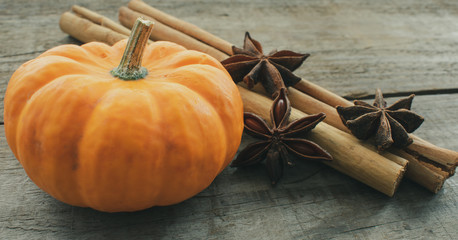 Gourd with star anise and cinnamon