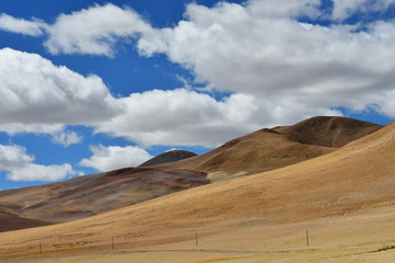 China, Tibetan plateau near the village of Yakra in summer