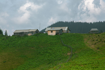 Obraz premium Wooden hut in the Carpathian Mountains