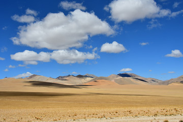 China, Tibetan plateau near the village of Yakra in summer