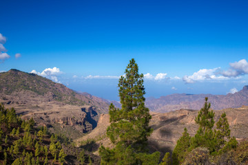 Gran Canaria,  October