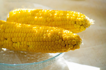 Fresh yellow corn on the plate. Row of delicious boiled fresh corn cobs for a healthy snack.