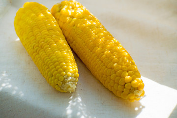 Fresh yellow corn on the plate. Row of delicious boiled fresh corn cobs for a healthy snack.