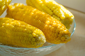 Fresh yellow corn on the plate. Row of delicious boiled fresh corn cobs for a healthy snack.