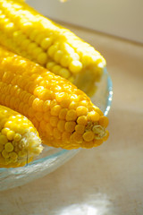 Fresh yellow corn on the plate. Row of delicious boiled fresh corn cobs for a healthy snack.