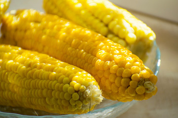 Fresh yellow corn on the plate. Row of delicious boiled fresh corn cobs for a healthy snack.