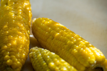 Fresh yellow corn. Row of delicious boiled fresh corn cobs for a healthy snack.