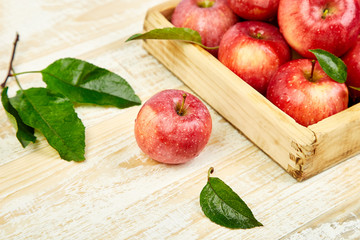 Fresh red ripe apples fruits in the wooden box