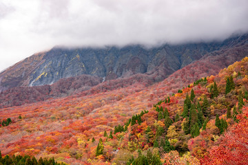 大山・鍵掛峠の紅葉（２０１８年１１月２日撮影）