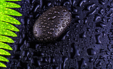 The stacked wet spa stone with green leaf