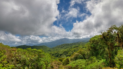 Fototapeta na wymiar View over the canopy surrounding the Arenal volcano, Monteverde, Costa rica