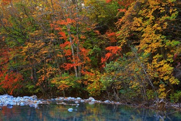 紅葉の八幡平