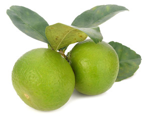 Green lime isolated on white background.
