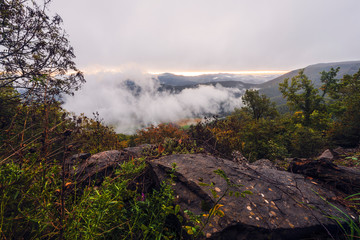 Fototapeta premium the fog rises in the valley at dawn