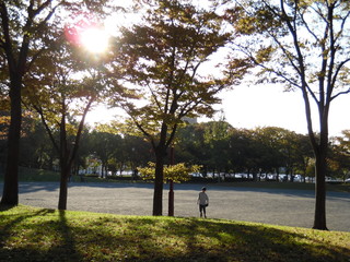 The park where the light shines