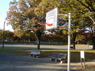 The Goal of the basketball in the park