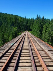 Fototapeta premium Wooden railroad tracks goinig straight into the spruce forest - Train