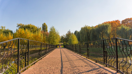 Iron bridge in an autumn park. reflect off a pond