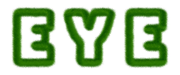 Eye - text written with grass
