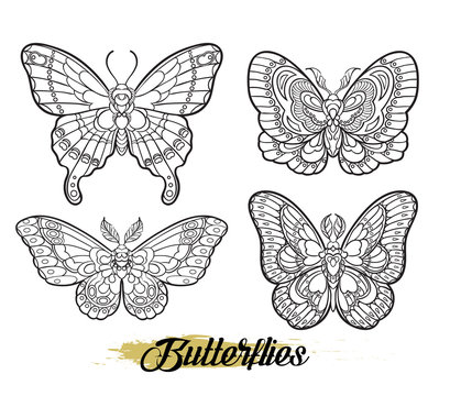 Stylised butterflies isolated on white background. Vector moth illustration line art style. Design for tattoo or t shirt graphic.