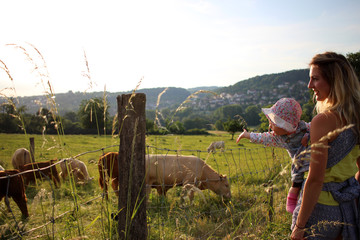 Mutter mit Baby besucht Kühe auf dem Bauernhof
