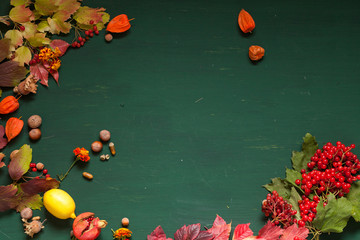 autumn background red and yellow leaves nuts fruit