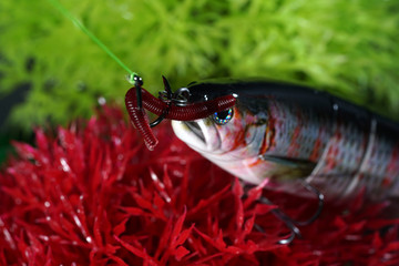 Artificial lures made of metal and plastic with sharp hooks are ideal for fishing for predatory fish