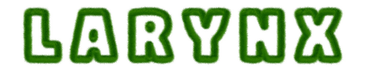 Larynx - text written with grass