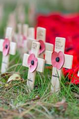 Remembrance poppies on wooden crosses, to commemorate the loss of servicemen in world wars and conflicts. An annual International event in November. Vertical.