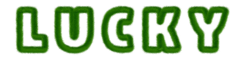 Lucky - text written with grass