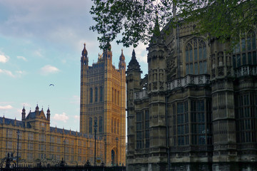 Fototapeta na wymiar The Houses of Parliament or Palace of Westminster, London, UK