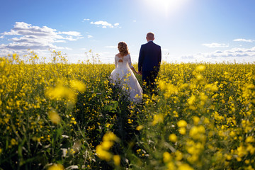 The newlyweds walking on way spring field of yellow  flowers