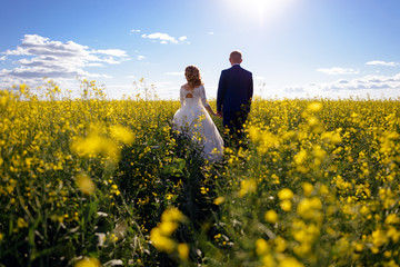 Fototapeta premium The newlyweds walking on way spring field of yellow flowers