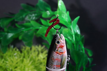 Artificial lures made of metal and plastic with sharp hooks are ideal for fishing for predatory fish