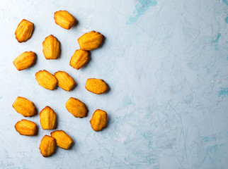 Madeleine Pastry Traditional French Pastry On a Blue Wooden Background Dessert Sweet Citrus Flavor Orange Peel Copy space for Text