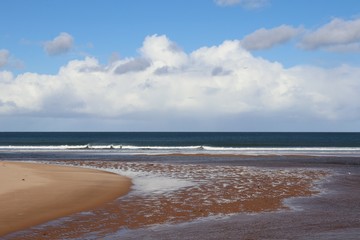 River arriving in sea
