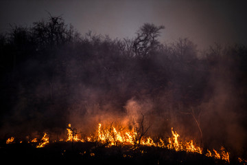 Bushveld fire and flames