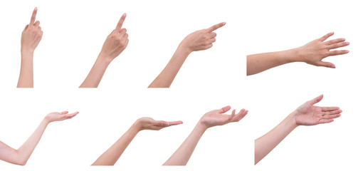 set of women hands isolated on white background