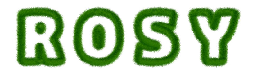 Rosy - text written with grass