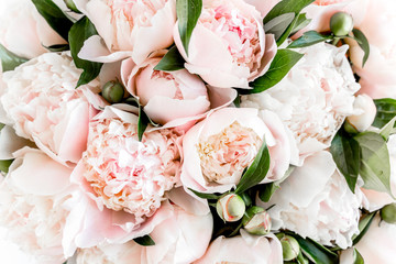 Bouquet of a lot of peonies of pink color close up. Flat lay, top view. Peony flower texture. - obrazy, fototapety, plakaty