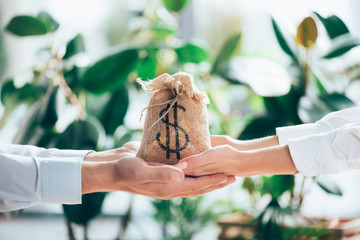 cropped shot of people holding sackcloth bag with dollar sign in hands