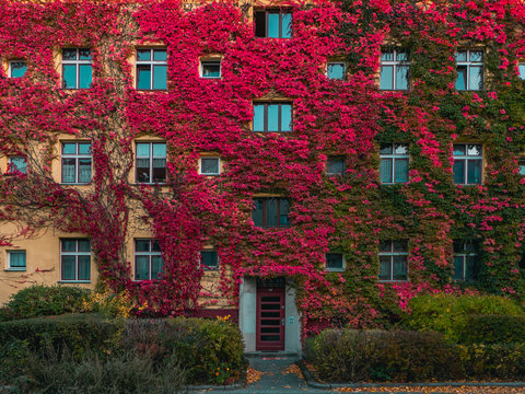 Rote Fassade
